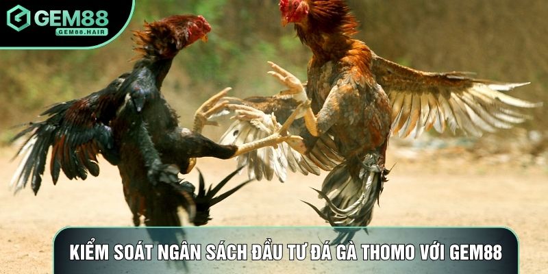Kiểm soát ngân sách đầu tư đá gà thomo với Gem88
