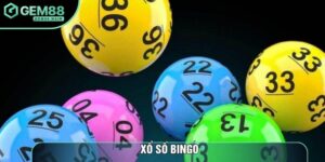 Xổ Số Bingo: Nghệ Thuật Phân Tích Dãy Số Quay Thưởng